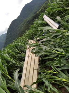 POSLEDICE MINI TORNADA V NOVI VASI, FOTO IRENA FENDE